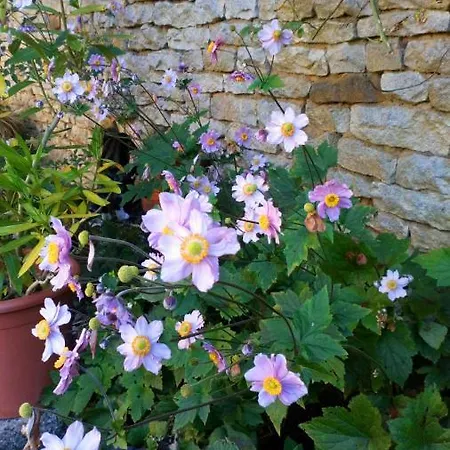 La Vallee Verte Bed & Breakfast