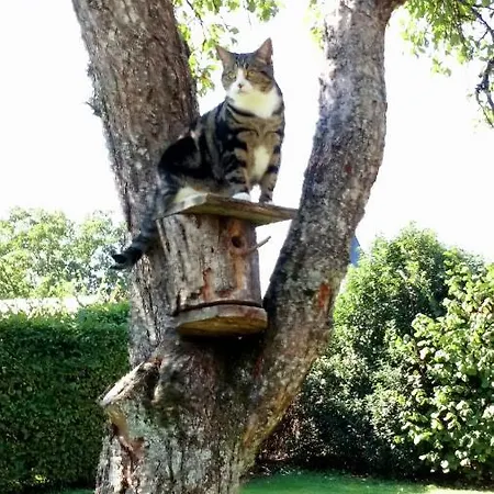 La Vallee Verte Bed & Breakfast Grandchamp (Haute-Marne)