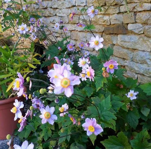 La Vallee Verte Bed & Breakfast