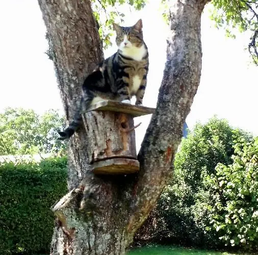 La Vallee Verte Bed & Breakfast Grandchamp (Haute-Marne)